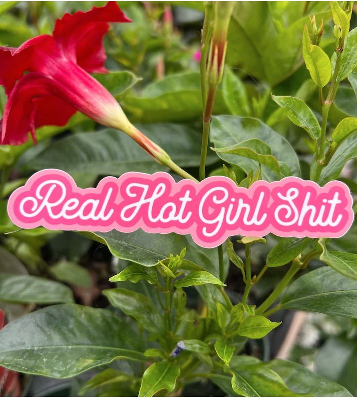 Real Hot Girl Shit Sticker